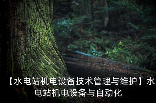 【水電站機電設(shè)備技術(shù)管理與維護】水電站機電設(shè)備與自動化