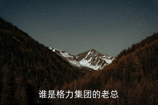 格力總裁，誰是格力集團(tuán)的老總