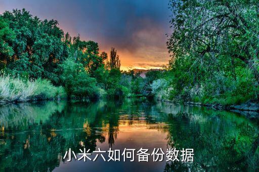 小6米修改數(shù)據(jù)下載地址,小米運(yùn)動怎么改步數(shù)數(shù)據(jù)?