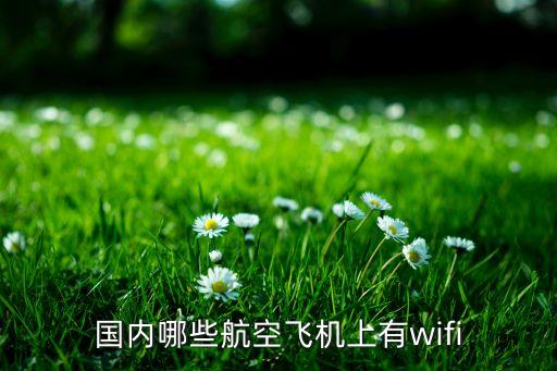 飛機wifi，國內(nèi)哪些航空飛機上有wifi