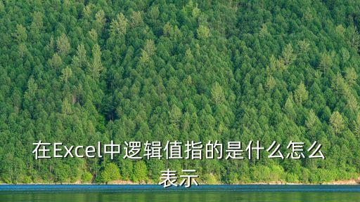 在Excel中邏輯值指的是什么怎么表示