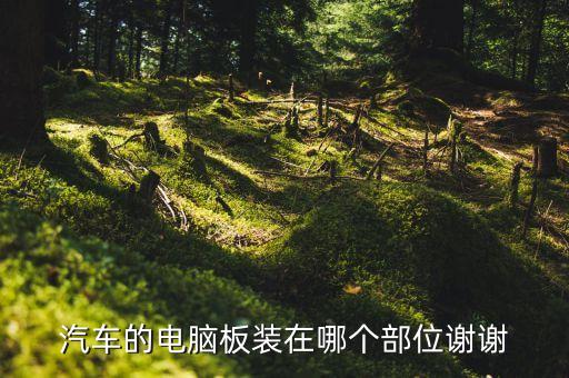 汽車的電腦板裝在哪個部位謝謝