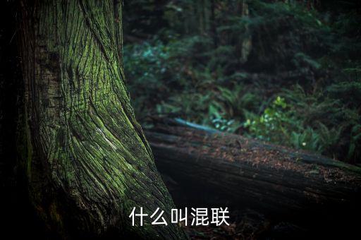 什么叫混聯(lián)