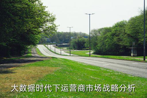 大數(shù)據(jù)時代下運營商市場戰(zhàn)略分析