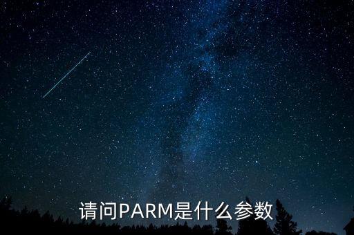 請(qǐng)問(wèn)PARM是什么參數(shù)