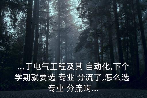 ...于電氣工程及其 自動(dòng)化,下個(gè)學(xué)期就要選 專業(yè) 分流了,怎么選 專業(yè) 分流啊...