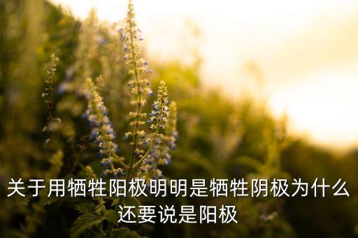 關(guān)于用犧牲陽極明明是犧牲陰極為什么還要說是陽極