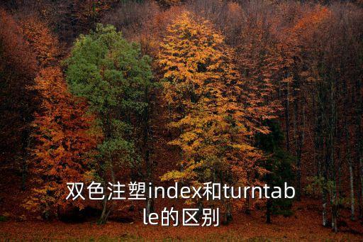 雙色注塑index和turntable的區(qū)別