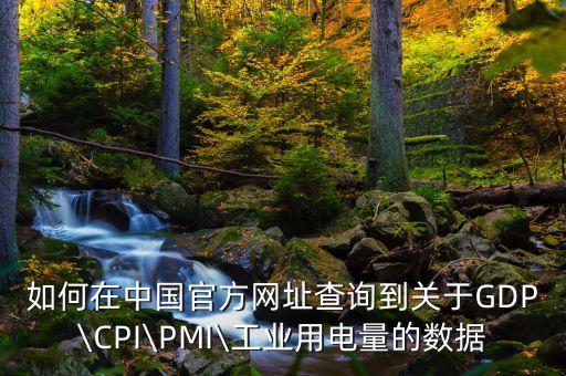 如何在中國官方網(wǎng)址查詢到關(guān)于GDP\CPI\PMI\工業(yè)用電量的數(shù)據(jù)
