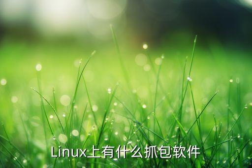 Linux上有什么抓包軟件