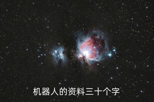 機(jī)器人的資料三十個(gè)字