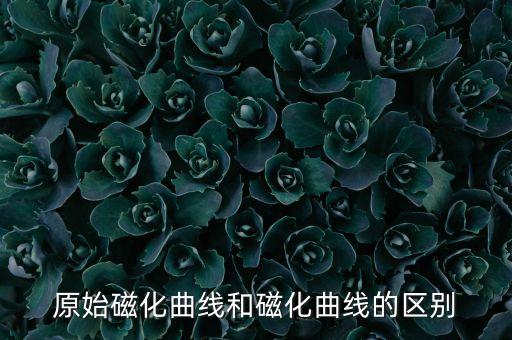 磁化曲線，原始磁化曲線和磁化曲線的區(qū)別