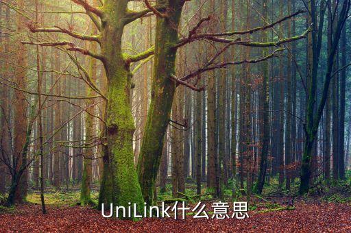 unlink，UniLink什么意思