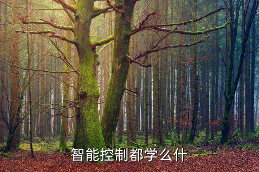 智能控制都學(xué)么什