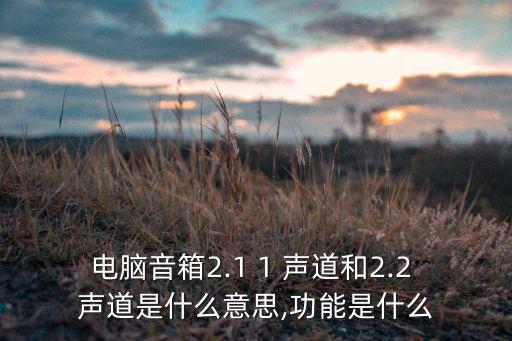 電腦音箱2.1 1 聲道和2.2 聲道是什么意思,功能是什么