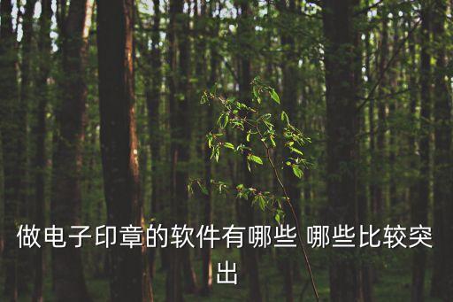 做電子印章的軟件有哪些 哪些比較突出