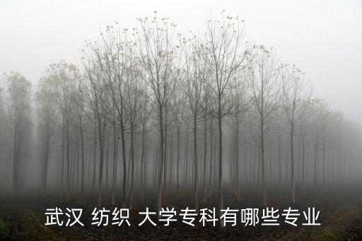 武漢紡織大學(xué)電氣自動化