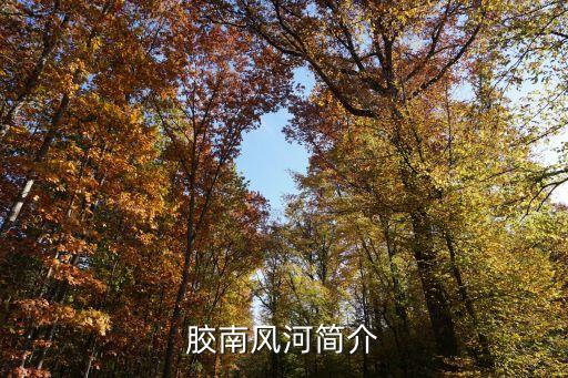 風(fēng)河，風(fēng)河workbench VxWorks 用戶手冊(cè)有中文版嗎哪能下載