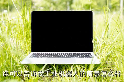 誰可以告訴我工業(yè)機器人的前景怎么樣