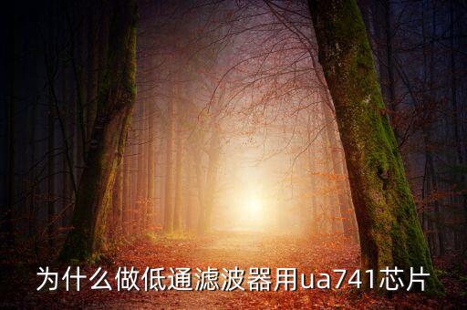 為什么做低通濾波器用ua741芯片