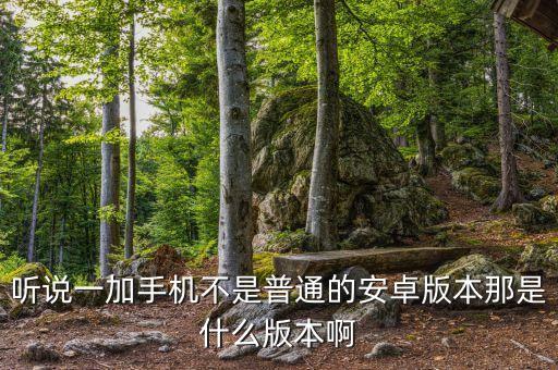 聽說一加手機不是普通的安卓版本那是什么版本啊