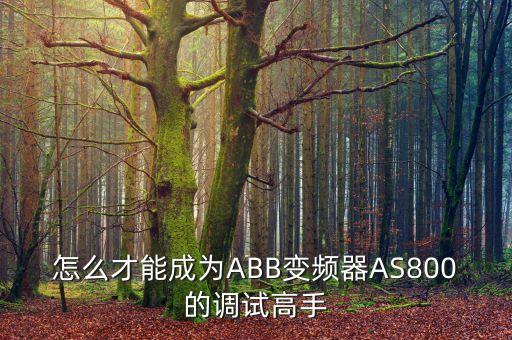 as800，怎么才能成為ABB變頻器AS800的調(diào)試高手
