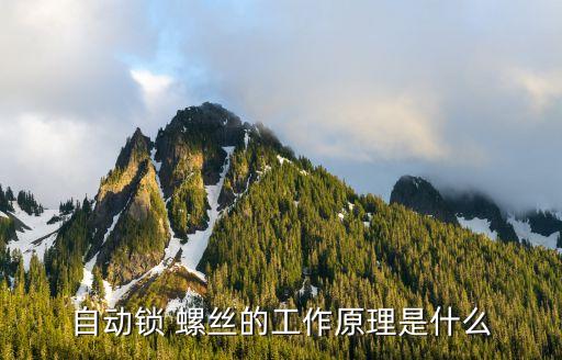 自動(dòng)鎖 螺絲的工作原理是什么
