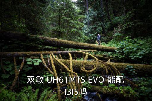 雙敏 UH61MTS EVO 能配I3I5嗎