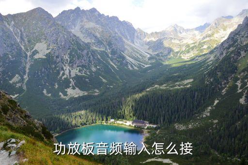 功放板音頻輸入怎么接