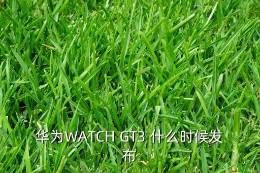 華為WATCH GT3 什么時(shí)候發(fā)布