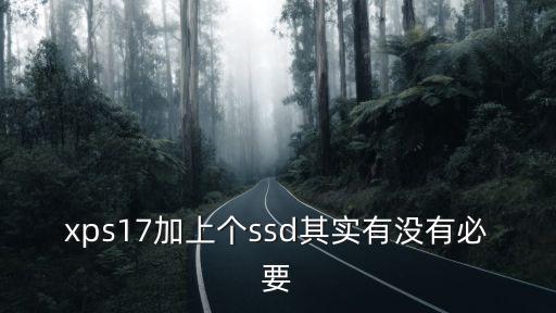 xps17加上個ssd其實有沒有必要