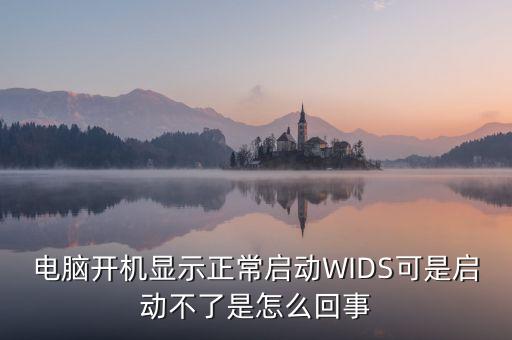 電腦開機顯示正常啟動WIDS可是啟動不了是怎么回事