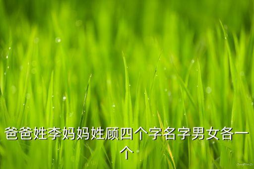 爸爸姓李媽媽姓顧四個字名字男女各一個
