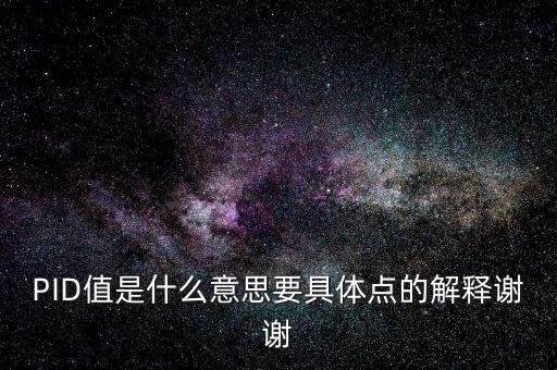 PID值是什么意思要具體點(diǎn)的解釋謝謝