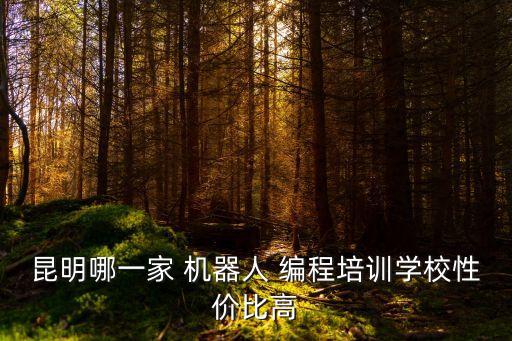 昆明哪一家 機器人 編程培訓(xùn)學校性價比高
