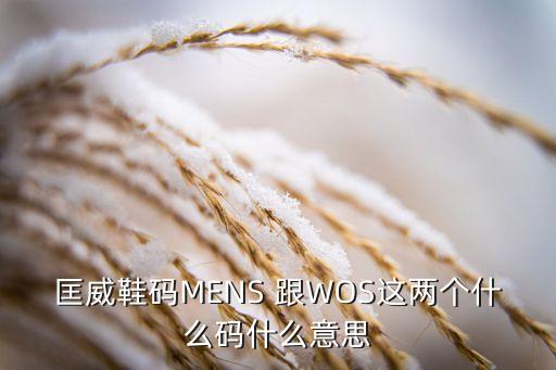 wos，WOS是什么意思