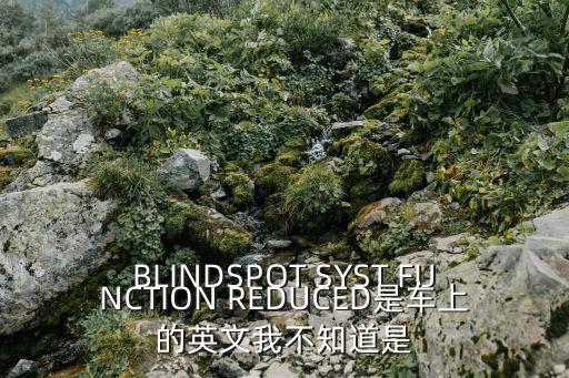 BLINDSPOT SYST FUNCTION REDUCED是車上的英文我不知道是