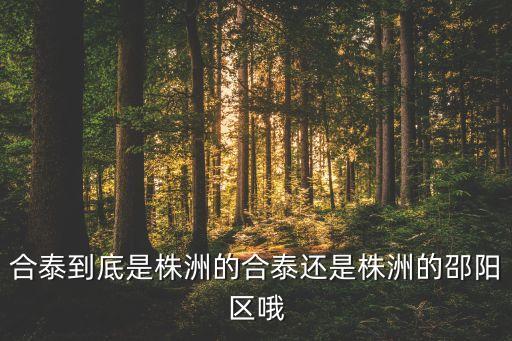 合泰到底是株洲的合泰還是株洲的邵陽(yáng)區(qū)哦