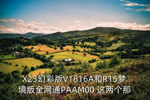X23幻彩版V1816A和R15夢(mèng)境版全網(wǎng)通PAAM00 這兩個(gè)那