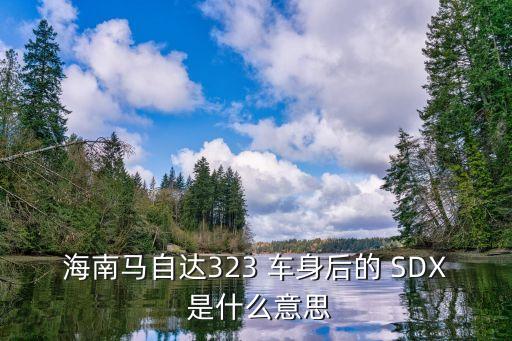 sdx，建筑圖集的SDX表示什么意思