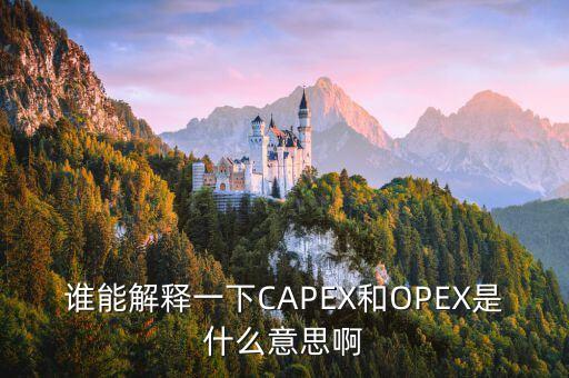 誰能解釋一下CAPEX和OPEX是什么意思啊