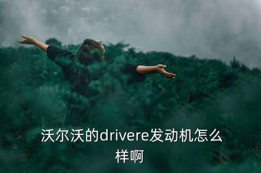  沃爾沃的drivere發(fā)動(dòng)機(jī)怎么樣啊