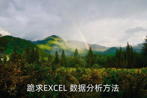 跪求EXCEL 數(shù)據(jù)分析方法