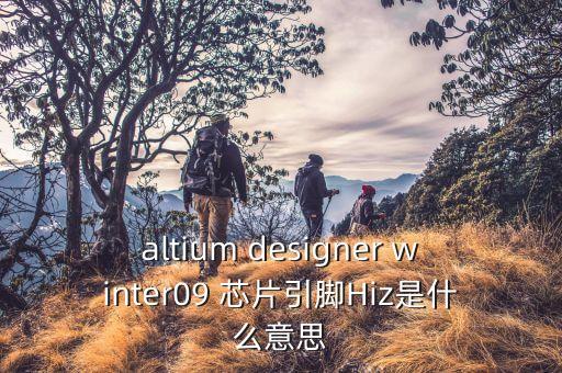 altium designer winter09 芯片引腳Hiz是什么意思