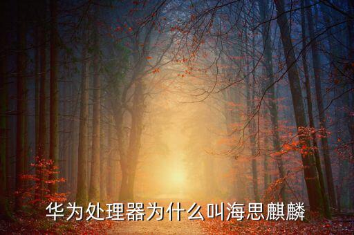 海思半導(dǎo)體，華為處理器為什么叫海思麒麟