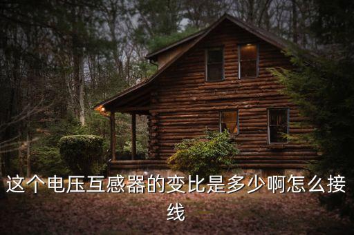 這個電壓互感器的變比是多少啊怎么接線