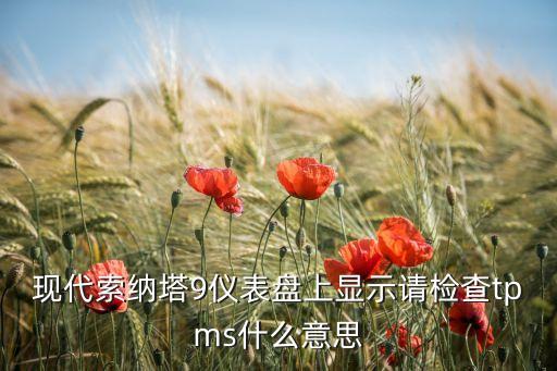 現(xiàn)代索納塔9儀表盤上顯示請檢查tpms什么意思