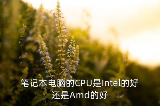 筆記本電腦的CPU是Intel的好還是Amd的好