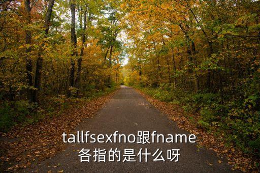 fno，tallfsexfno跟fname各指的是什么呀