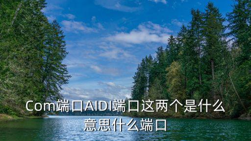 Com端口AIDI端口這兩個(gè)是什么意思什么端口